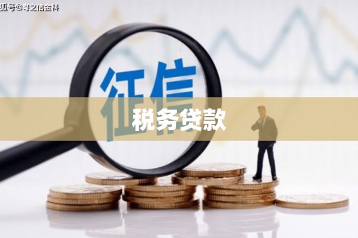 闸北税务贷款