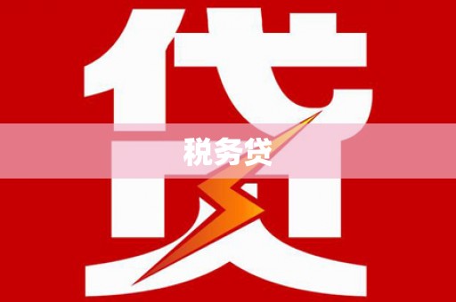 闸北税务贷