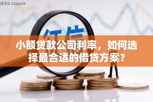 闸北小额贷款公司利率，如何选择最合适的借贷方案？