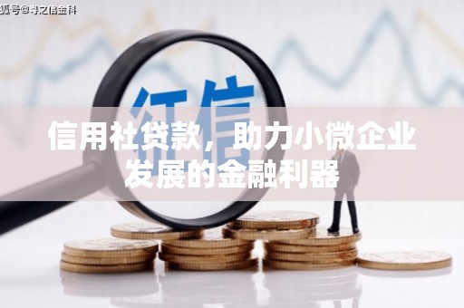 闸北信用社贷款，助力小微企业发展的金融利器