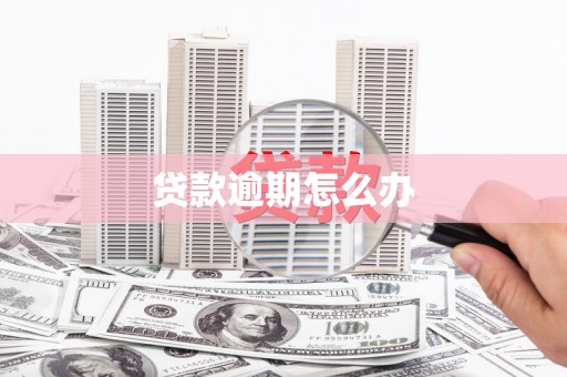 闸北贷款逾期怎么办